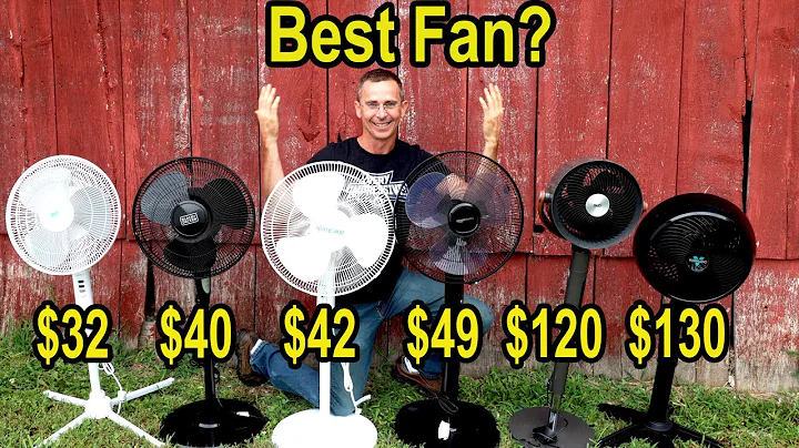 Best Fan? Let’s Find Out!