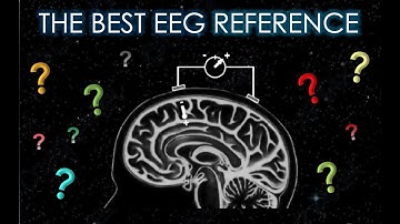 What is the best EEG reference?