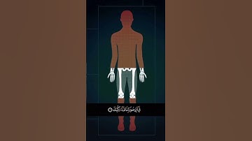 القارئ أحمد خضر. سورة الإنفطار يا أيها الإنسان ماغرك بربك الكريم. احترام قرآن ثانية 41🎧🥺 #راحة_نفسية