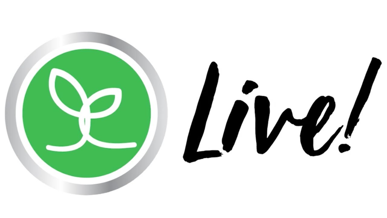 Your Body’s pH Explained: How To Balance Your Body’s pH With Greens