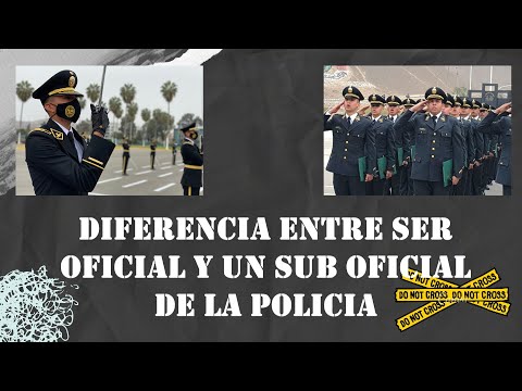 ¿Por Qué Elegiste La Carrera De Oficial De Policía?