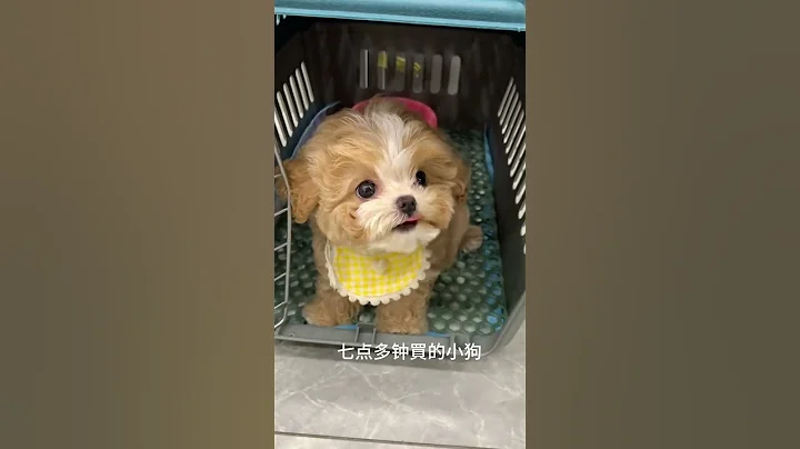 I m really impressed... It was confirmed at seven o clock and received by twelve o clock.