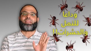 لأول مرة رقية طرد النمل والحشرات من المنزل !! | د.شهاب الدين أبو زهو