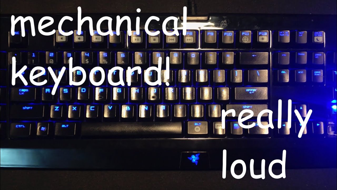 caterpillow buys a mechanical keyboard