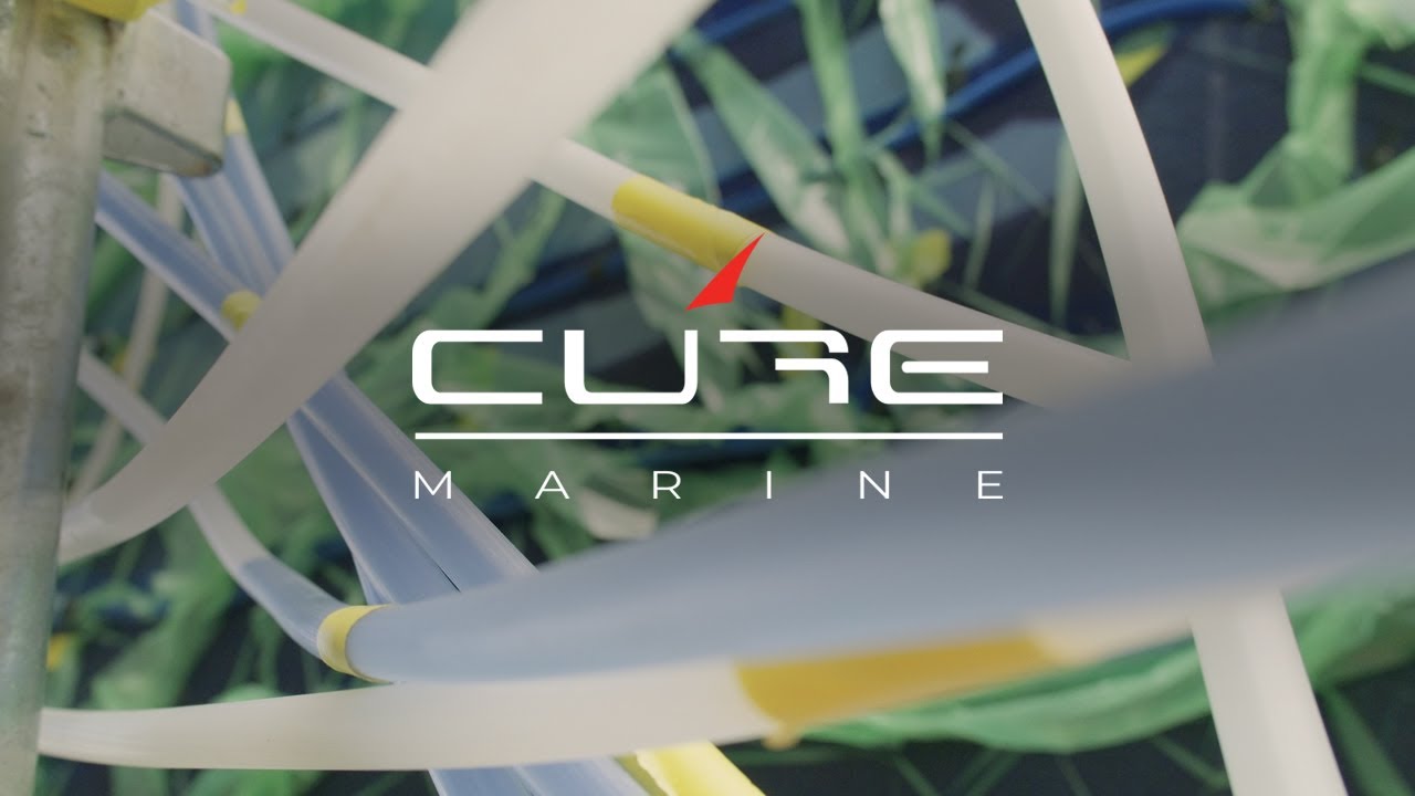 ⁣Cure 55—Carbon Fibre Bridgedeck Infusion