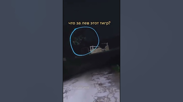вселёлые качели 😅