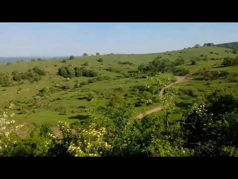 ხედი ჩვენი სასტუმროდან \"Melaanian Vintage - Guest House\"