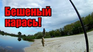 БЕШЕНЫЙ КАРАСЬ,ДУПЛЕТ!Продам рыбу ниже себестоимости,писать в комментах!Рубрика по Вашим письмам! БЕШЕНЫЙ КАРАСЬ,ДУПЛЕТ!Продам рыбу ниже себестоимости,писать в комментах!Рубрика по Вашим письмам!