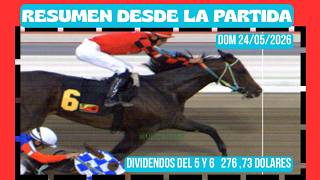 RESUMEN CARRERAS DE CABALLOS LA RINCONADA Y LOS DIVIDENDO OFICIALES DOMINGO 24 DE MAYO 2026