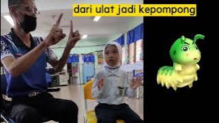Lagu Dari Ulat Jadi Kepompong dengan lirik dan Gaya gerakkan