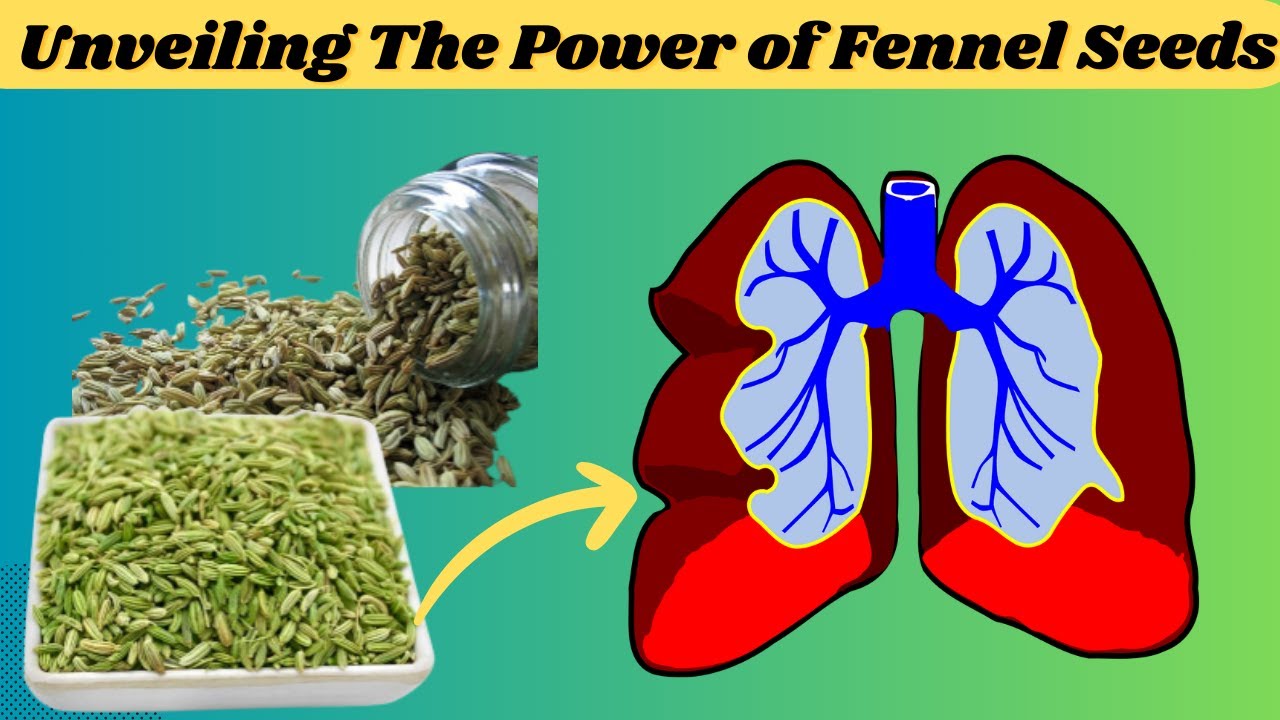 What Happens to Your Body When You Eat Fennel Seeds Every Day YouTube