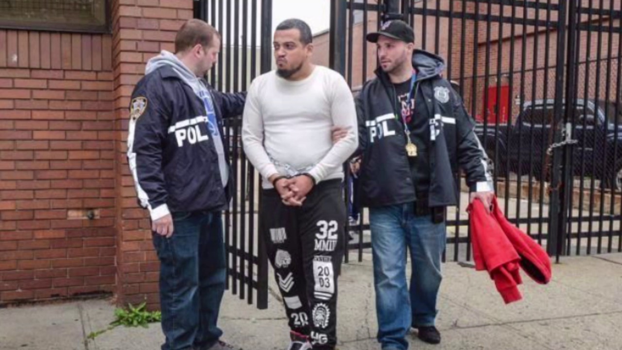 NYC Gang Members Arrested New York City - YouTube