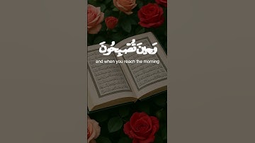 #explore #اكسبلور #المصحف #tiktok #راحة_نفسية #حالات_واتس #الرحمن #تيك_توك #قرآن #تلاوة_خاشعة #الله