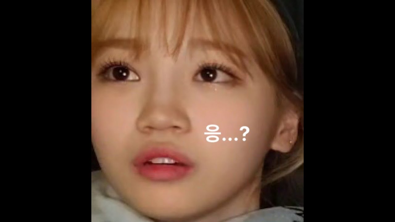 채원이가 댕댕라이브 나왔는데 앚망진창?