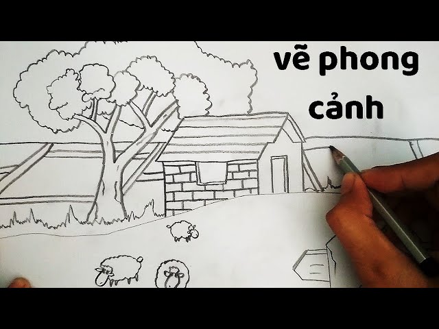 Vẽ Tranh Phong Cảnh chủ đề cánh đồng mùa hè - How to draw Landscapes -  YouTube