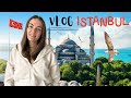 #29 🇹🇷 Турция |Стамбул |Грандбазар |Лалели