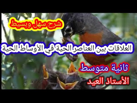 العلاقات بين العناصر الحية في الأوساط الحية ثانية متوسط الجيل الثاني 2021 2022