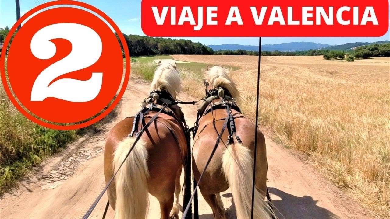 Viaje desde Barcelona a Valencia. #Crónica  2#