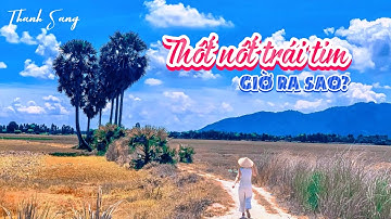 Cây Thốt Nốt Trái Tim ở Tri Tôn An Giang giờ ra sao? | Du Lịch An Giang - Miền Tây