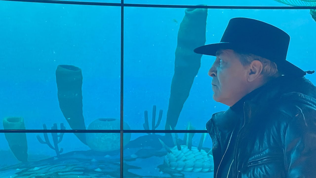 Экстракт невзоров последний выпуск