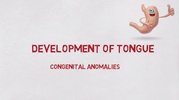 Development of tongue - Easy notes