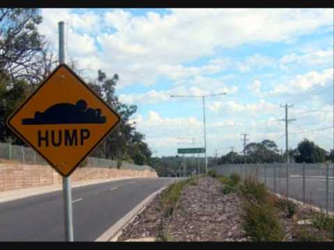 Funny road signs!
