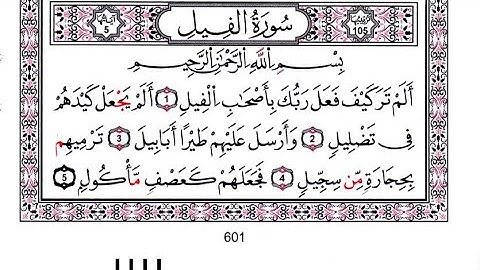 105-سورة الفيل برواية قالون_القارئ فاروق إبراهيم