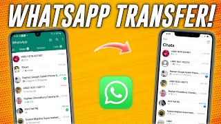 How to Transfer WhatsApp Data Android to iPhone | No PC