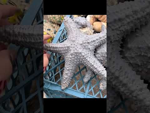ولاگ سفر به اهواز  ولاگ