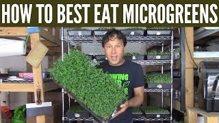 How to Best Eat Microgreens for the Most Health Benefit
