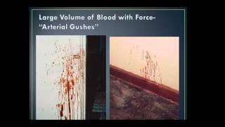 Blood Spatter Analysis Lecture - part 2
