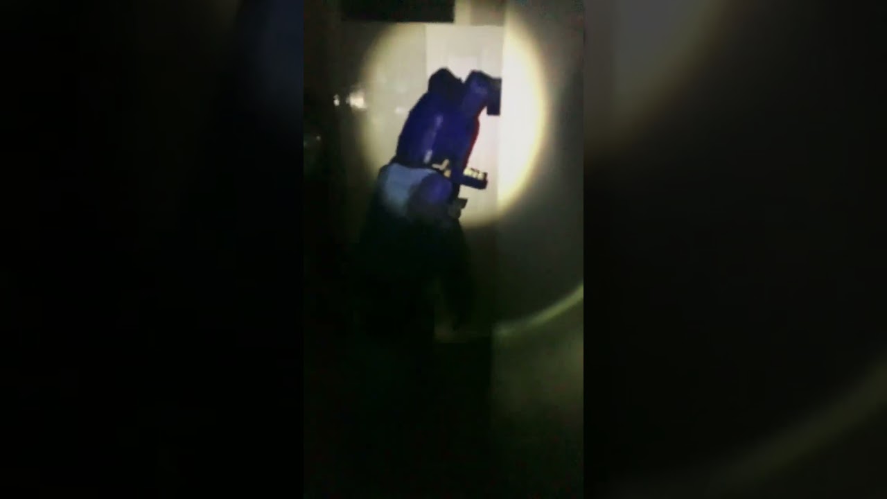 Old footage VHS style 