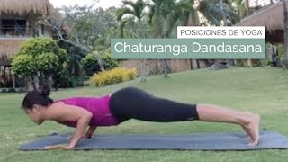 Shakty - Chaturanga Dandasana es una postura cuyo significado es: Chatur:  cuatro. Anga: miembros. Danda: bastón o palo. Asana: postura. Verás que  desde que levantas el cuerpo al principio de la ejecución