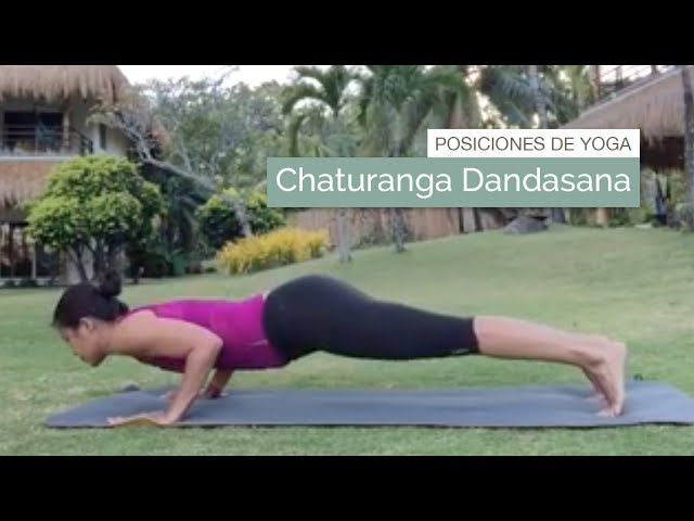 Shakty - Chaturanga Dandasana es una postura cuyo significado es: Chatur:  cuatro. Anga: miembros. Danda: bastón o palo. Asana: postura. Verás que  desde que levantas el cuerpo al principio de la ejecución