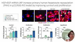 VEGFA mRNA-LNP promotes biliary epithelial cell-to-hepatocyte conversion in acute and chronic liver