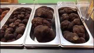 International Soria Truffle Festival