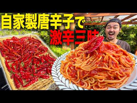 【鷹の爪】自家製唐辛子を使って激辛パーティー！大量に育った唐辛子を食べまくる！！！