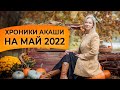 Предсказания Акаши на май 2022