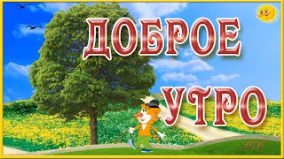 Доброе утро! Чудесного дня! Красивая и оригинальная музыкальная открытка С Добрым утром