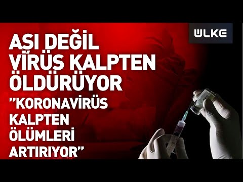 Koronavirüs kalpten ölümleri artırıyor