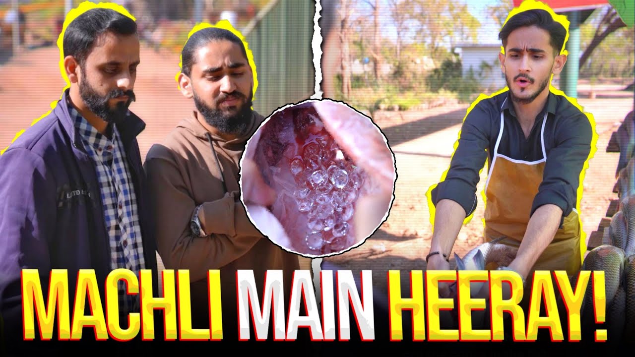 Machli Main Heeray 💎😱#salahuddinsatti #fyp #foryou #foryoupage #shortstories