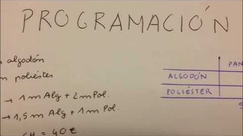 Problema de programación lineal (Anna M. Navarro Font)