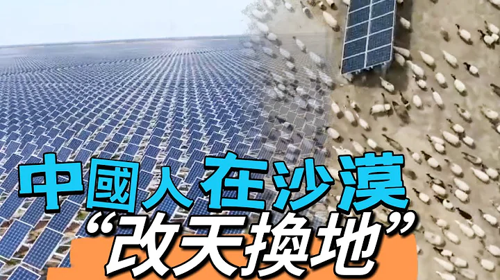 中国人在沙漠中种出了花　养起了牛羊鸡鸭 - 天天要闻