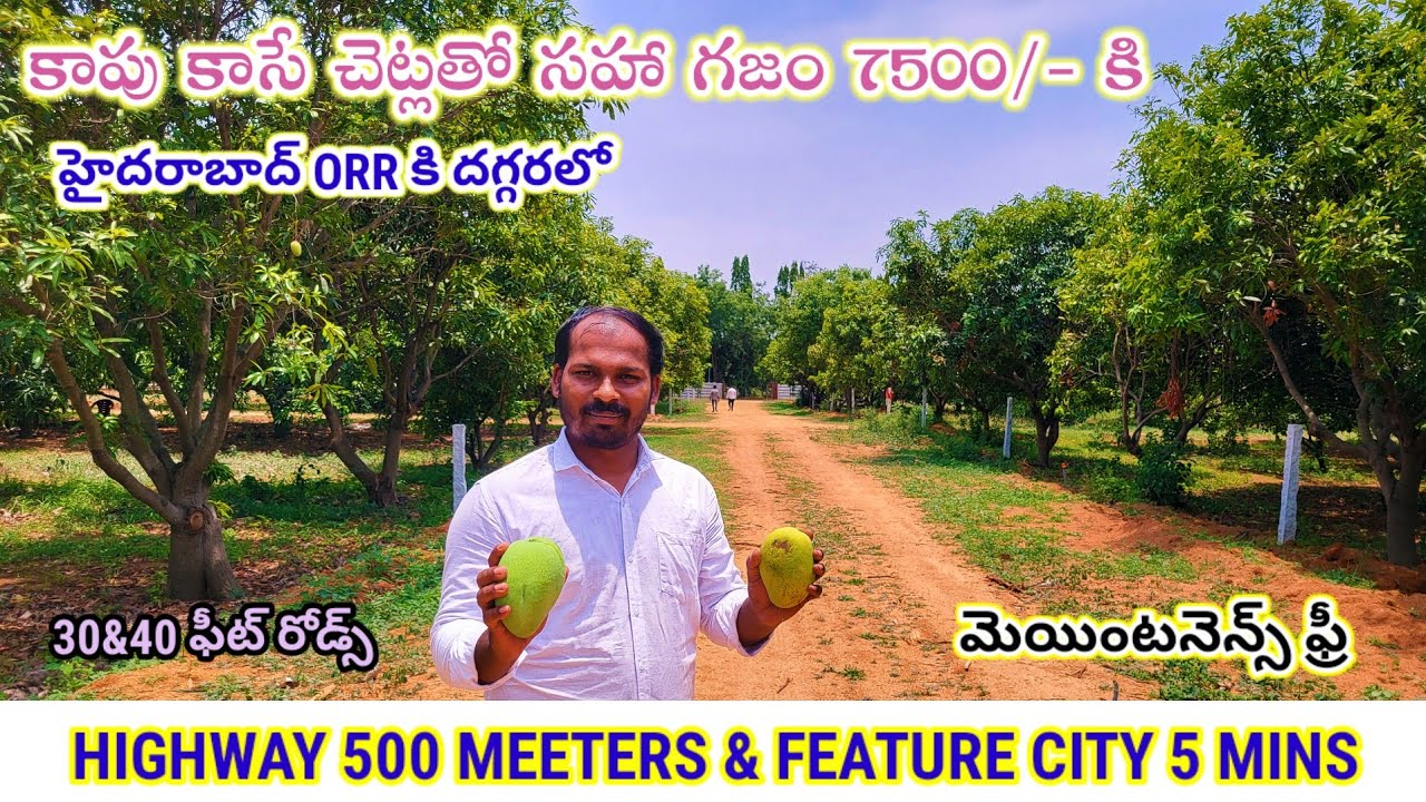 నోరూరించే పండ్ల తోట తక్కువ ధరకే మంచి ఇన్వెస్ట్మెంట్ ప్లాట్స్/Hyderabad open plots and houses