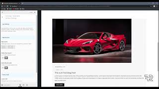 23 theme options 1080p Complete WordPress Theme & Plugin Customization for Beginners
