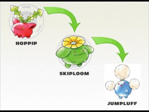 Hoppip Evolution Chart