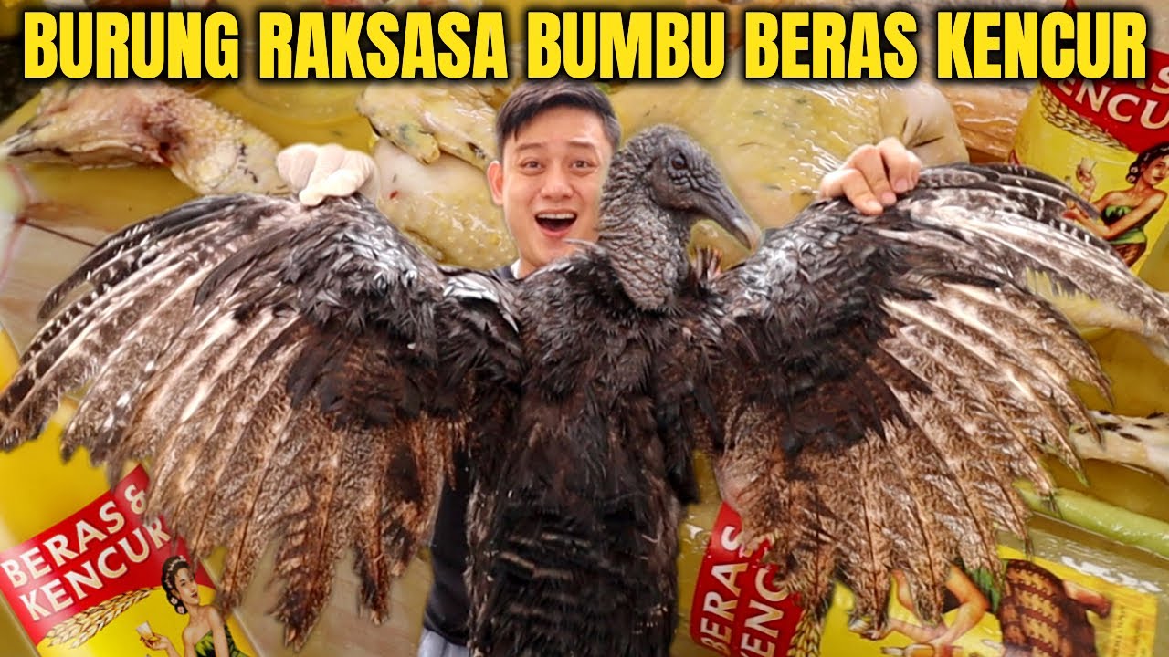 MUKBANG BURUNG BERAS KENCUR BAU KENCUR BANGET BIKIN MABOK LUR.. 