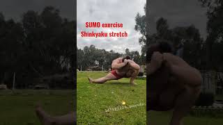 #sumo #mobility #training #sports #strength #wrestling #calisthenics #movement #strong #martialarts
