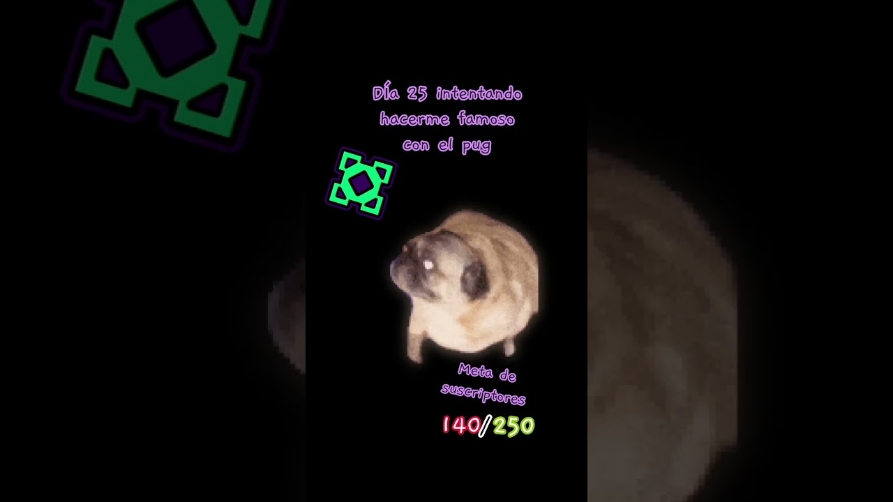 Día 25 #pug @zz243w @LiamCuberoNica - YouTube