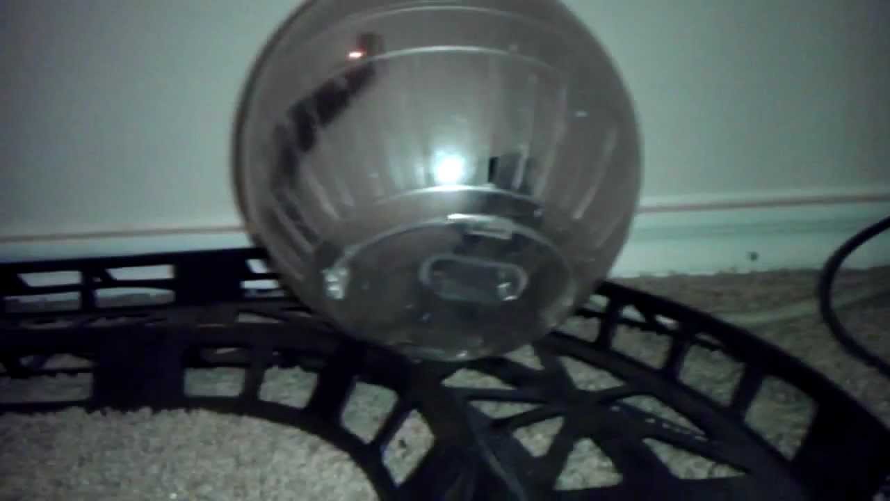 My Sugar Glider on her Hamtrac